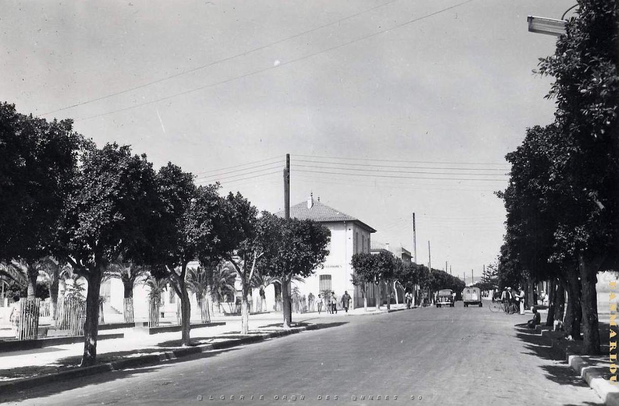 Saint Leu 504- Rue principale COLLECTION DES AMIS DE ND DE SANTA CRUZ.jpg